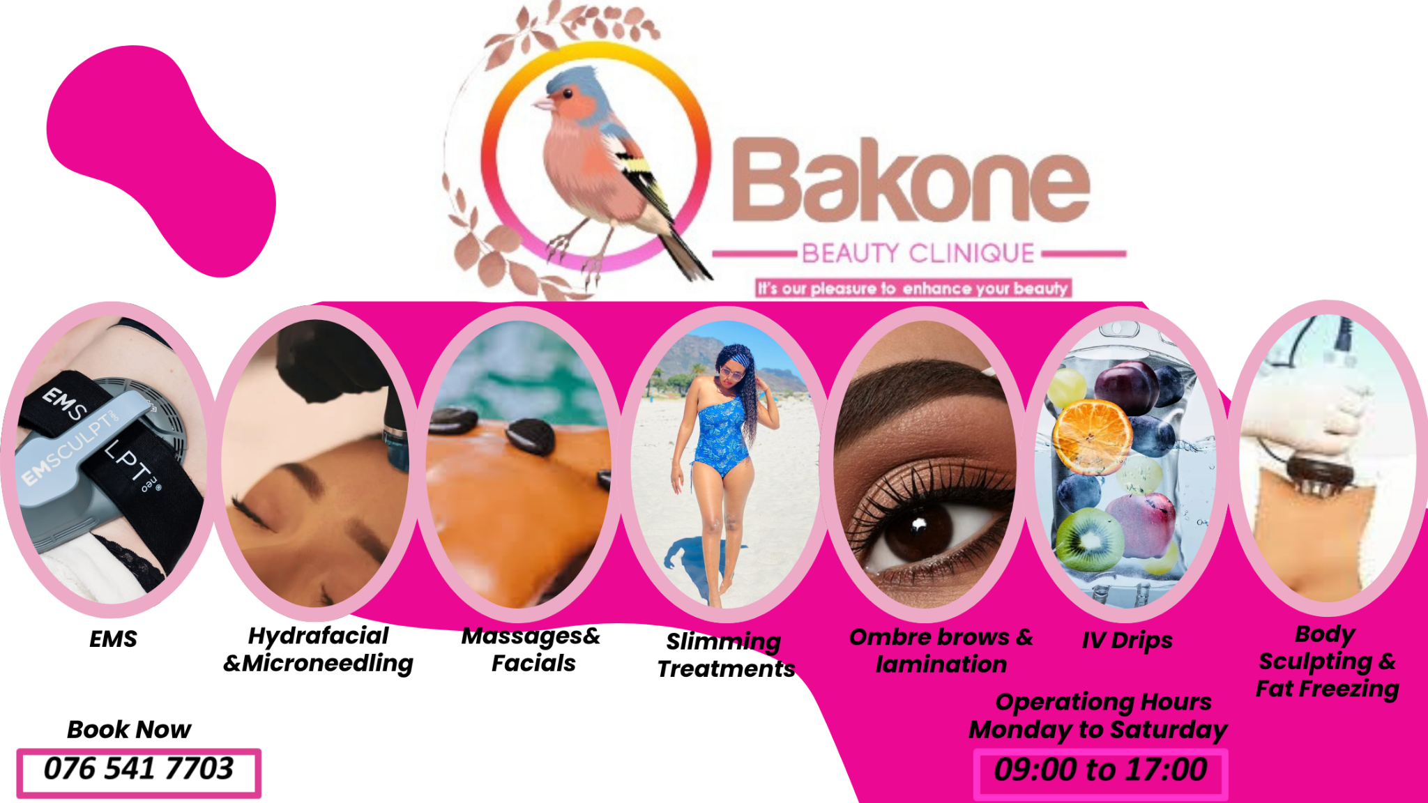 Bakone service showcase